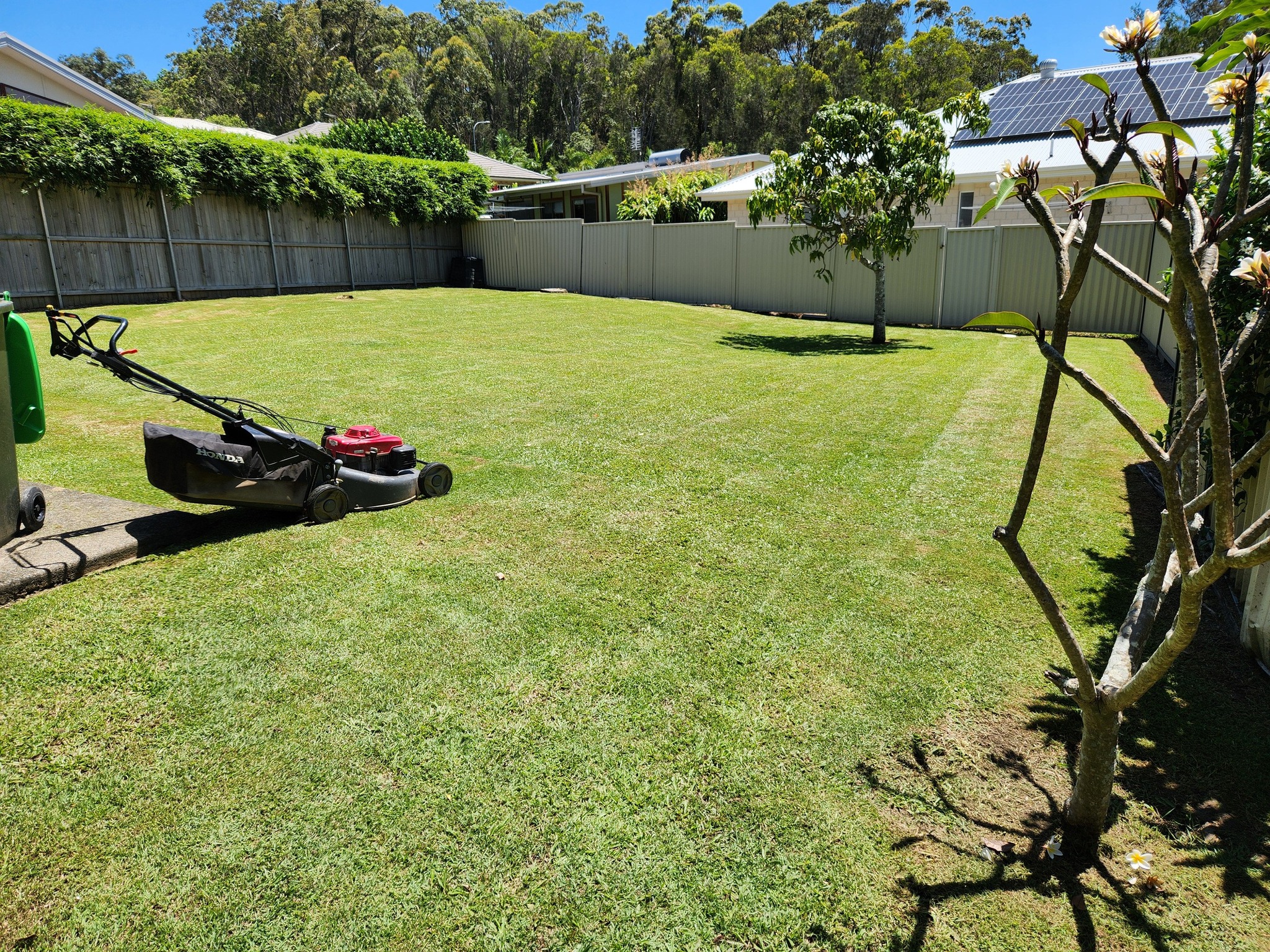 Coffs Lawns & Property Maintenance